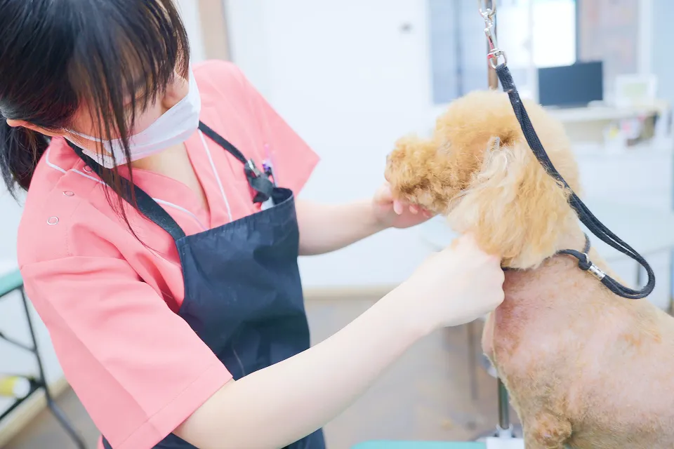 アニマルクリニックイスト