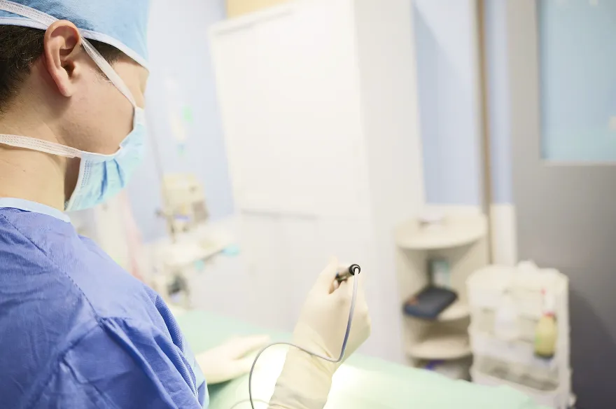 アニマルクリニックイスト